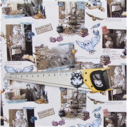 Tissu Coton Harry Potter Poudlard | Tissus Loup