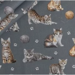 Kätzchen Baumwollstoff mit Pelot des grauen Hintergrundes von Wolle Nikita Loup