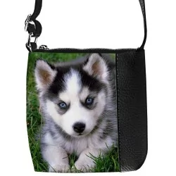Siberian Husky Puppy Junior...