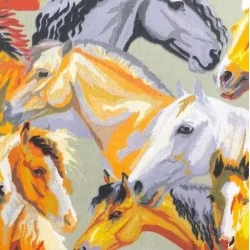 Cotton fabric with gray colored horses, Isabelle, white, brunette bay and palomino.
Nikita Loup