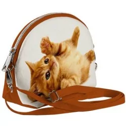Small catton bobtail...