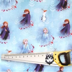 Tissu Coton La Reine des Neiges Anna et Elsa  Disney | Tissus Loup