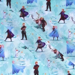 Tissu Coton Reine de Neige Elsa Anna et Kristoff Disney | Tissus Loup
