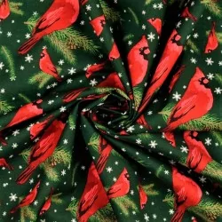Baumwollstoff Weihnachtsvogel Rotkehlchen Grüner Hintergrund | Wolf Stoffe