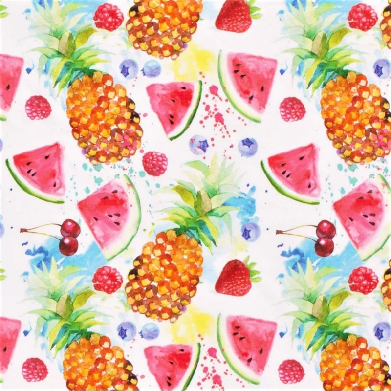 Jersey Stoff Sommerfrüchte | Wolf Stoffe