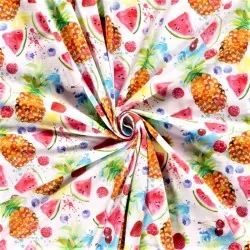 Jersey Stoff Sommerfrüchte | Wolf Stoffe