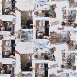 Fabric Harry Potter Hogwarts