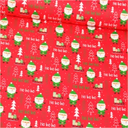 Tela de Papá Noel en abrigo verde, Ho ho ho, fondo rojo