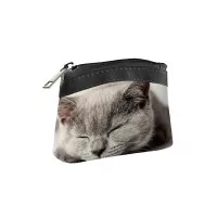 Carteira